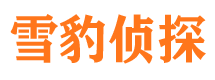 东安侦探